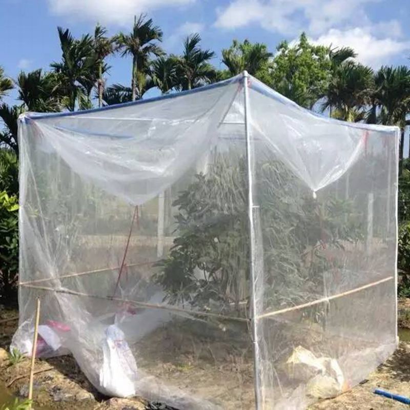 Fruit Saver Tree Net – Pest Management Solutions